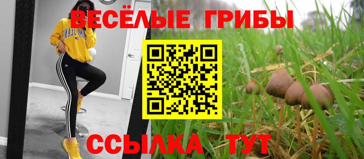 Галлюциногенные грибы Magic Shrooms  Вход с VPN  Звенигород 