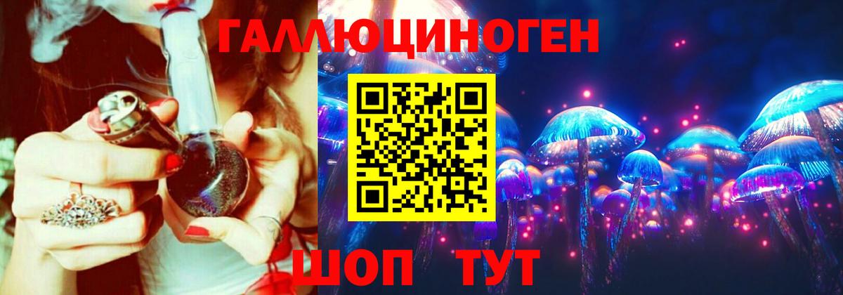 Галлюциногенные грибы Psilocybe Звенигород